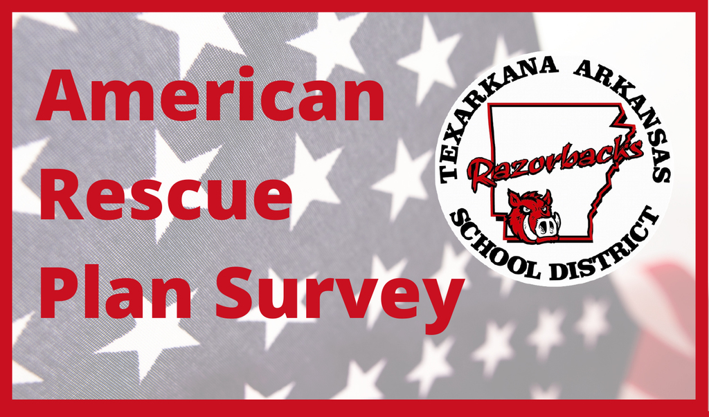 American Rescue Plan Survey